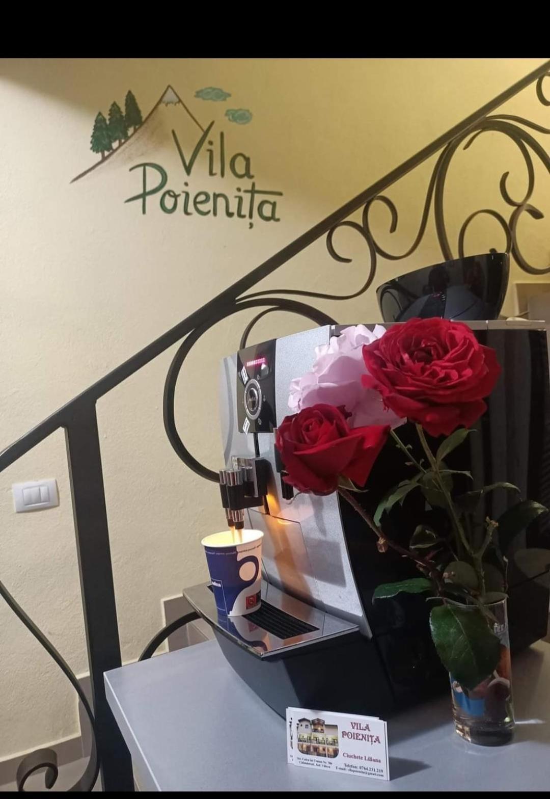 Vila Poienita Caciulata Călimăneşti Exterior foto